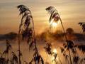 Sixth Movement: Allegro Video - "A. Scriabin - Symphony No.1 - 6th[2of2] movement of 6"