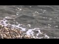 Videoclipul lui _oktober_