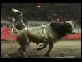 Cow Palace San Francisco Rodeo Cow Palace San Francisco Rodeo