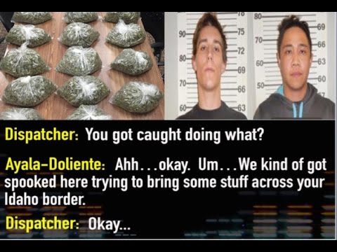 Drug Traffickers Get High & Call The Cops To Turn Themselves In