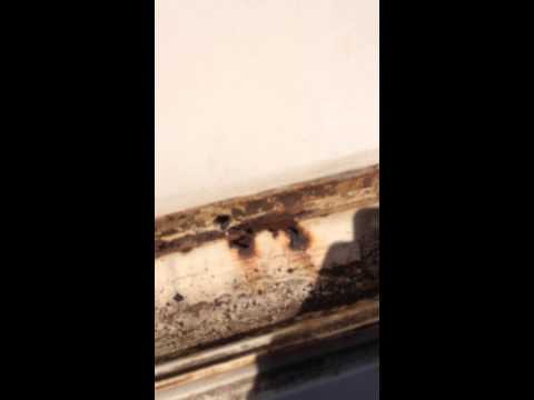 1964 Lincoln Continental Fixing The Rusted Parts