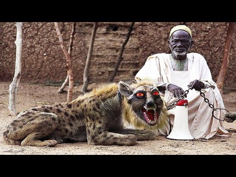 इन जानवरों से भिड़ना है बेवकूफी। 5 Animals You Should not Mess.