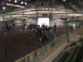 Western Pleasure, APHA