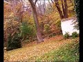 but a beautiful performance by anne sofie von otter and bengt forsberg. and a shot of my backyard.