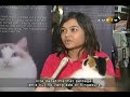 Feline Fanciers Society of Singapore Cat Show