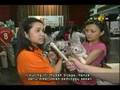 Feline Fanciers Society of Singapore Cat Show