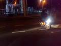 videos de pernis