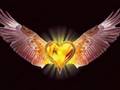 Assistir ao v�deo