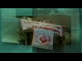 Iran zanan-mojahedin 1357