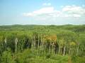 View from the observation tower at Deep Portage