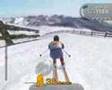 Alpine Ski Racing 2007 - PC