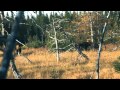 2011 Hunt TV  promo