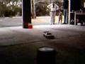 Plaig RC Nitro Drifting HSP