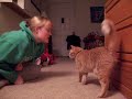 Truman behaviors.MOV