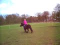 Tammy valt van een shet xD Tammy valt van een shet xD
