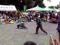 Togakushi ninjas roar!