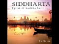 Afterlife feat. Cathy Battistessa but i know it as Ravin - Speck of Gold from 'Siddharta - Spirit Of The Buddha Bar Vol 2'.Hope is all that we have with each birth, every tear we have hope ( we have hope ) Speck of gold, in your heart, everyone...( everyone )Speck of gold, in your heart, every sun...( everyone )Speck of gold...Cold, cold way... I walk, hold your heart to this light one and all ( one and all )Speck of gold...Speck of gold that we just unfolded, love your heart, love your heart,speck of gold, everyone hold our sun ... burningspeck of gold... speck of dust on our sun, shade our world, shade our world... speck of dust on everyone, save our sun, save our world,speck of dust on our sun, shade our world, shade our world,speck of dust on everyone, save our sun, save our world.