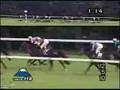 シンボリクリスエス 2002年 青葉賞