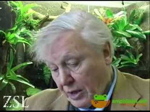 Sir David Attenborough: the Global ...