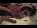 TJ CHEER ME UP VID HE CHEATS! TJ CHEER ME UP VID HE CHEATS!