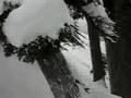 Colonna.Jjacks.080301