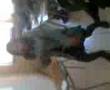 obedeze a la tiitii xD