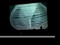 the second part of o-type watching leger's film with instruments in tow - at an after hours salon at the fine arts salon in berkeley in 2000.