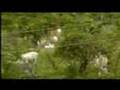 Mi Promo19 (Video03 -- De Finca En Carrizal) Mi Promo19 (Video03 -- De Finca En Carrizal)