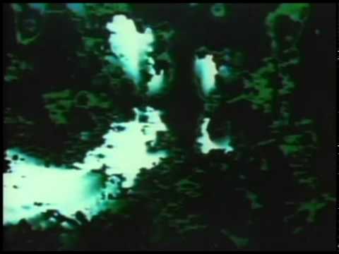 Youtube-videoupotus, klikkaa nähdäksesi!