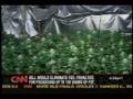 H. R. 5843 Some Marijuana Reform By Barney Frank and Ron Paul