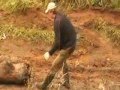 Просмотр видео