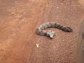 MOV06611.MPG