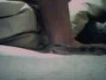 videos de twitch the leopard gecko