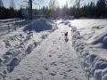 Two Eagles Lodge's Little Moo enjoys an unusal Vancouver Island snowfall.MOV