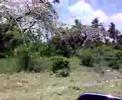 Road Mombasa Malindi
