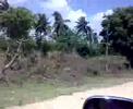 Road Mombasa Malindi