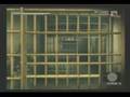 Metal Gear Solid 3: Snake Eater - Johnny Sasaki