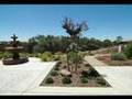LINCOLN CA VERDERA LUXURY REAL ESTATE HOME and HOMES -- Jane