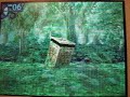 etrian odyssey