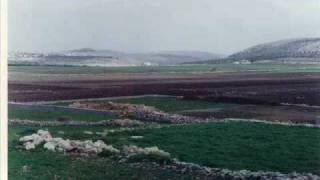 قرية دير بلوط