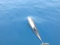 Ammouliani Chalkidiki athos Ammouliani Chalkidiki athos