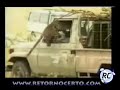 Acidente cuidado com o tigre Acidente cuidado com o tigre