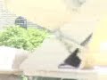 ambush-ied.html