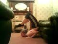 more contortion more contortion