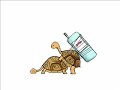 Viagra pour Tortue