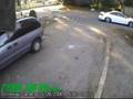 Caught on Video: Broad Daylight Stealing Obama Sign