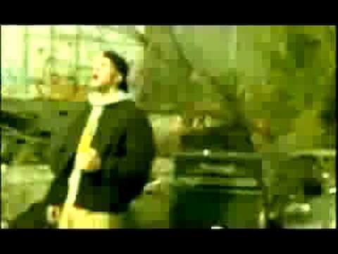 Youtube Video ZPawdTEOfcE