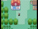 Fun Walking Though Walls Pokemon Emarald Fun Walking Though Walls Pokemon Emarald