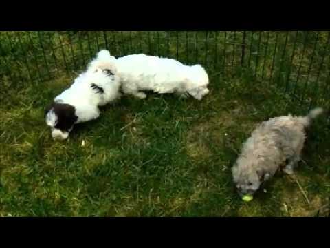 Tammy and Her Sisters. Enjoy!