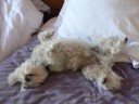 Sleeping Time
